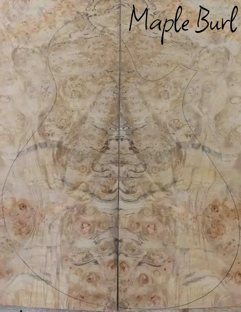 110 Maple burl