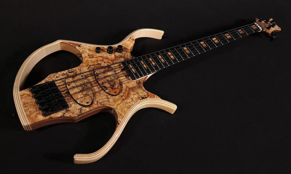 Stega Deluxe 5C spalted maple top