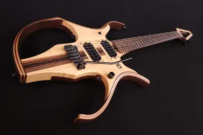 STEGA GUITARE FICHE VIGNETTE