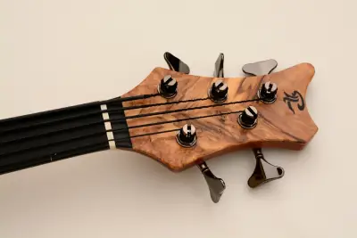 10 stega fretless