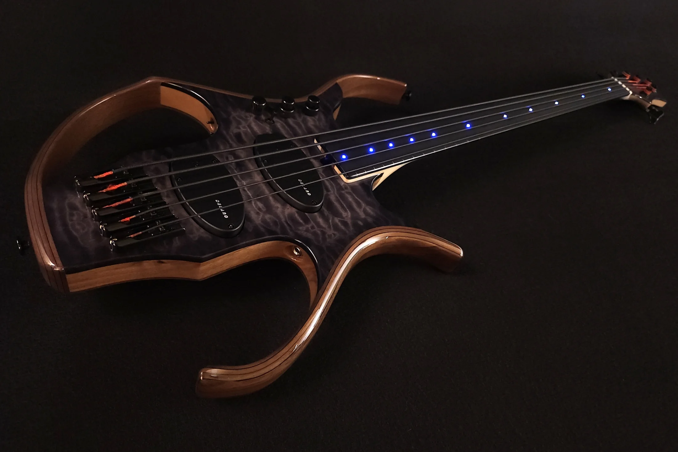 Stega fretless avec leds bleues